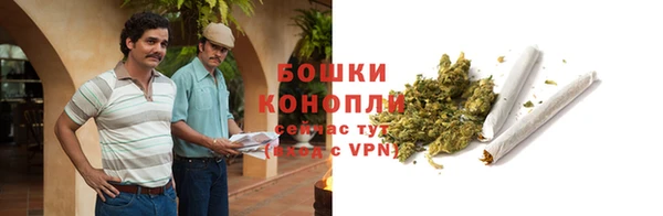 винт Белокуриха