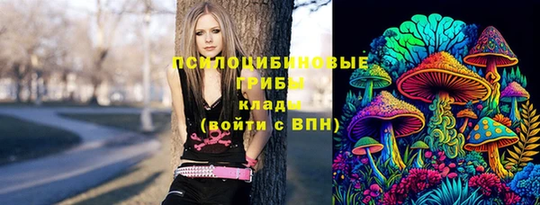 винт Белокуриха