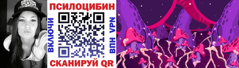 закладка  Власиха  Галлюциногенные грибы Psilocybine cubensis 
